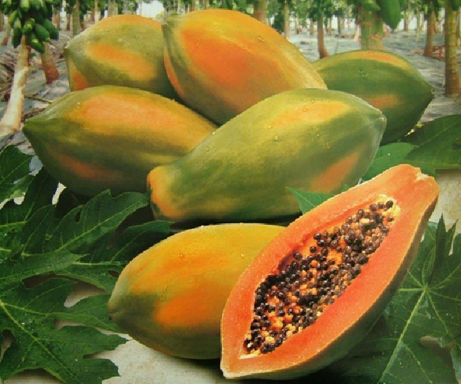 Mangue fraîche